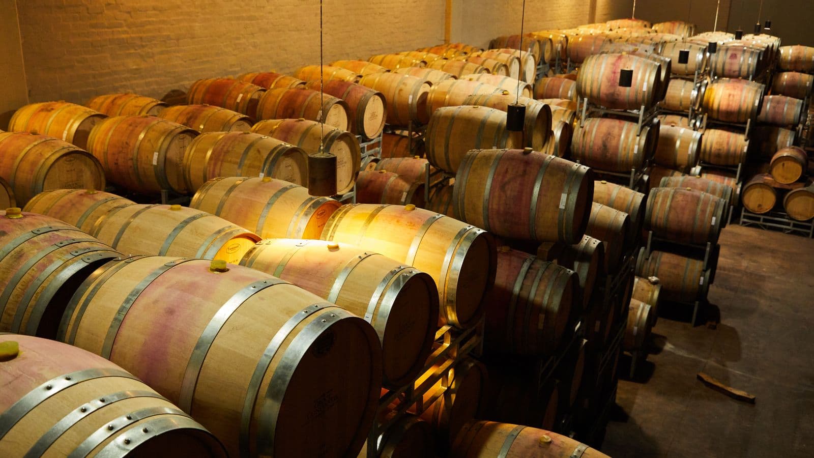 Wine-country scenery for Ballard Canyon Syrah Trail
